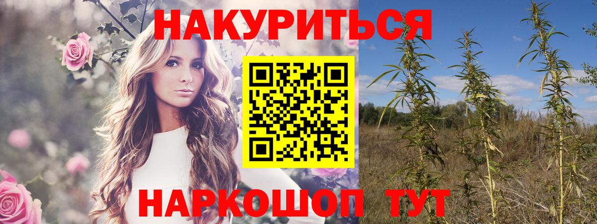 Марихуана THC 21%  Вход с VPN  Бошки марихуана сатива  Бошки марихуана AK-47  Бошки марихуана планчик  Тейково 